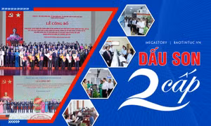 Dấu son 2 cấp