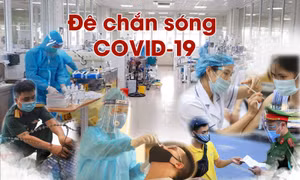 'Đê chắn sóng' COVID-19