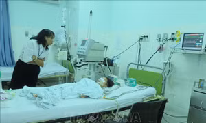 Cháu bé người Trung Quốc trong vụ lật cano trên vịnh Nha Trang đang nguy kịch
