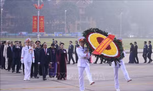 Các đại biểu dự ĐH Đảng XIII viếng lăng Bác
