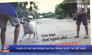 Chưa có vắc xin phòng dại của Trung Quốc tại Việt Nam