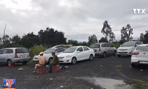 Tạm giữ 30 ô tô trong vụ đánh bạc quy mô lớn ở Phú Yên