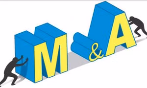 M&A cần sự cân bằng với nhu cầu doanh nghiệp trong nước