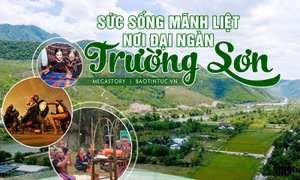 Sức sống mãnh liệt nơi đại ngàn Trường Sơn