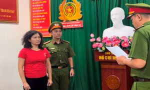 Bắt tạm giam Đặng Thị Hàn Ni, Đặng Anh Quân, Trần Văn Sỹ