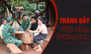 Tránh bẫy 'việc nhẹ, lương cao'
