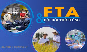 FTA và đòi hỏi thích ứng 