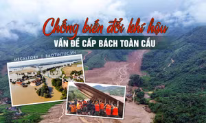 Chống biến đổi khí hậu - vấn đề cấp bách toàn cầu