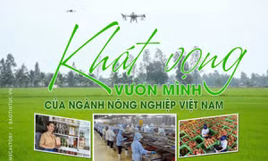 Khát vọng vươn mình của ngành nông nghiệp Việt Nam