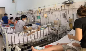 Ca mắc sốt xuất huyết tại TP Hồ Chí Minh gia tăng
