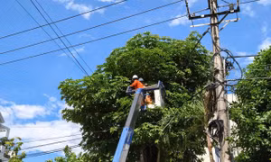 PC Quảng Ngãi chủ động phương án, đảm bảo cấp điện an toàn, liên tục dịp Quốc khánh 2/9