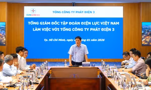 Đoàn công tác EVN làm việc với EVNGENCO3 về công tác bảo vệ môi trường và sản xuất điện