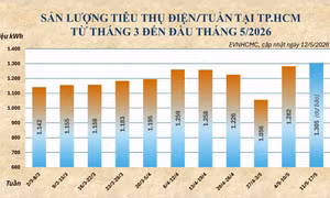 Nắng nóng kéo dài, tiêu thụ điện tại Thành phố Hồ Chị Minh tiếp tục tăng cao 