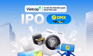 Còn 6 ngày đăng ký mua, thương vụ tỷ đô IPO Điện Máy Xanh vào giai đoạn nước rút
