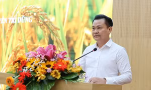 Tín dụng Agribank Chi nhánh Long An đồng hành cùng Đề án 1 triệu héc-ta lúa tại tỉnh Tây Ninh