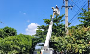 PC Phú Yên hoàn thành quan trắc môi trường lao động năm 2025