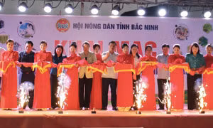 Khai mạc Chợ phiên nông sản an toàn tỉnh Bắc Ninh năm 2025