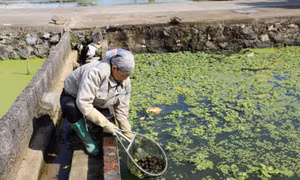 Hướng đi mới cho sinh kế bền vững vùng miền núi An Khánh