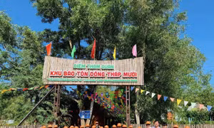 Một thoáng lãng du giữa hương tràm