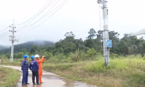 Công ty Điện lực Quảng Ngãi đáp ứng nhu cầu sử dụng điện ngày càng tăng của phía bạn Lào
