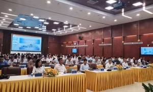 EVN tổ chức tập huấn Luật Điện lực 2024 và các văn bản hướng dẫn thi hành tại khu vực miền Nam
