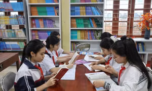 Xã hội hóa thư viện góp phần lan tỏa tri thức, phát triển văn hóa đọc