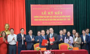 Du lịch trải nghiệm: Hướng đi bền vững cho nông nghiệp nông thôn