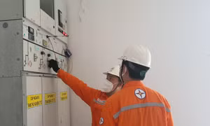 Điện lực TP.HCM: Cấp điện an toàn, ổn định trong 6 tháng đầu năm 