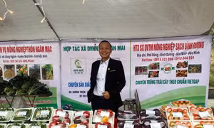 Thanh niên Bắc Ninh phát triển nông nghiệp công nghệ cao 