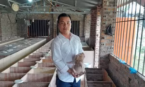 Thanh niên phát triển kinh tế nông nghiệp 