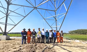 Ngành điện miền Nam: Xuyên Tết bám công trường