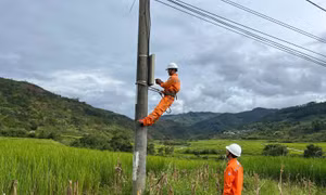PC Quảng Ngãi: Chủ động bảo đảm an toàn điện mùa mưa bão tại khu vực phía Tây