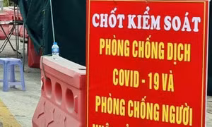 Giấu 4 người trong thùng xe chở động vật hòng vượt chốt kiểm soát dịch COVID-19