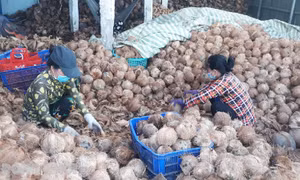 Kết nối tiêu thụ hàng hóa và hỗ trợ ổn định đời sống cho người dân