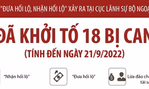 Vụ án 'Đưa hối lộ, nhận hối lộ' tại Cục Lãnh sự: Đã khởi tố 18 bị can