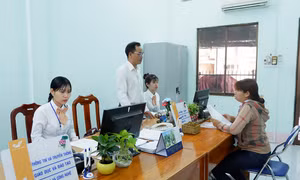 Nhiều tiện ích từ dịch vụ bưu chính – hành chính công