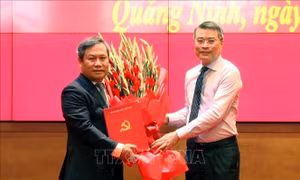 Ông Vũ Đại Thắng giữ chức Bí thư Tỉnh ủy Quảng Ninh