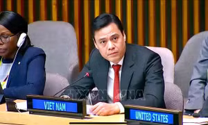 Việt Nam bắt đầu nhiệm kỳ thành viên Hội đồng chấp hành UN Women