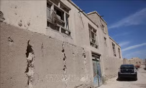WHO: Afghanistan đối mặt cuộc khủng hoảng y tế nghiêm trọng