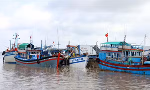 Kiểm tra IUU: Xử phạt các tàu cá tự tháo thiết bị giám sát hành trình
