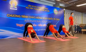 Rèn luyện thể thao nâng cao đề kháng chống lại COVID - 19