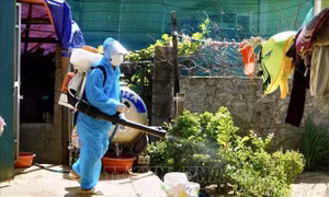 Giám sát chặt chẽ các ổ dịch sốt xuất huyết, không để lây lan trên diện rộng