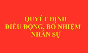 Thủ tướng Chính phủ điều động, bổ nhiệm nhân sự 4 Bộ, ngành