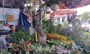 Chợ truyền thống Hà Nội - Bài 2: Những mảnh ghép còn lại