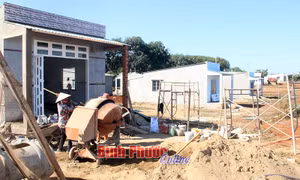 Xuân về trên Tiểu khu 119, Bình Phước