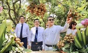 Quảng bá nhãn lồng Hưng Yên với khách quốc tế