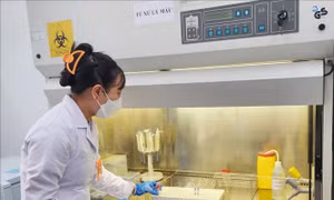 Thành lập ngân hàng huyết thanh phục vụ kiểm soát bệnh truyền nhiễm​
