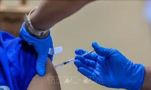 CDC Mỹ bỏ khuyến cáo tiêm vaccine ngừa COVID-19 với trẻ em và thai phụ khỏe mạnh