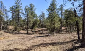 Rơi máy bay làm hai người thiệt mạng tại Arizona, Mỹ