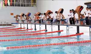 Khai mạc Giải Bơi - Lặn vô địch các Câu lạc bộ Quốc gia năm 2024